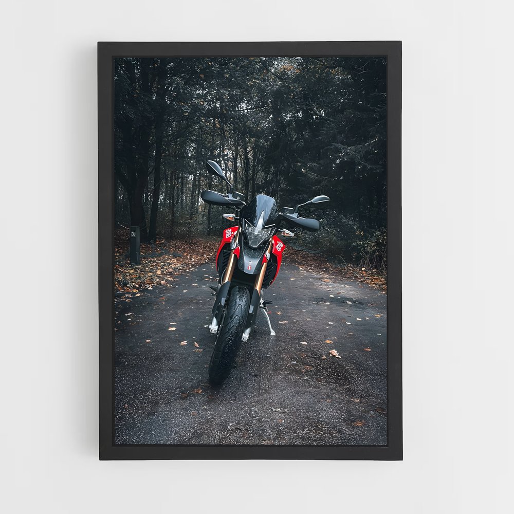 Poster Dorsoduro captivant – affiche Aprilia (vue 2)